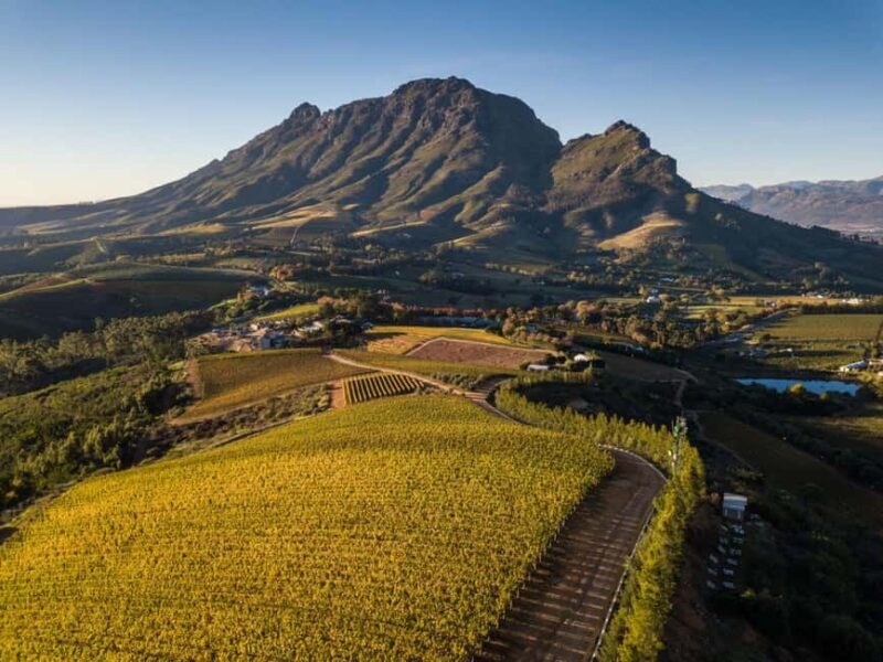 Cape Town: Private Wine Tour with Tastings and Lunch - Final Thoughts