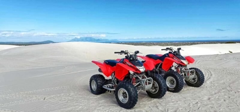 Cape Town: Quad Biking and Ostrich Farm Full-Day Tour - What to Expect from the Tour