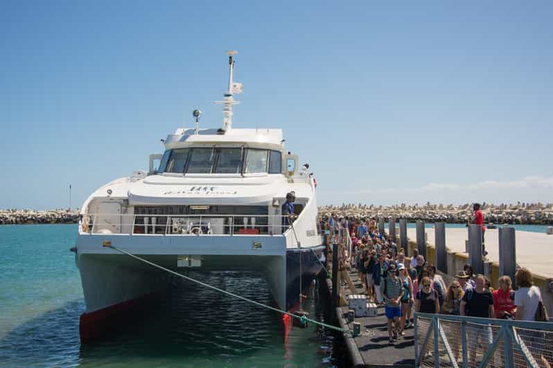 Cape Town: Robben Island Boat Trip & Museum Tour Ticket - What to Expect from Your Robben Island Tour