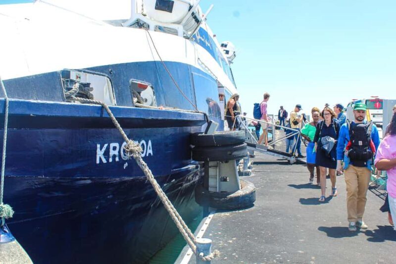 Cape Town: Robben Island ferry ticket plus Guided Tour - What You Can Expect from This Tour
