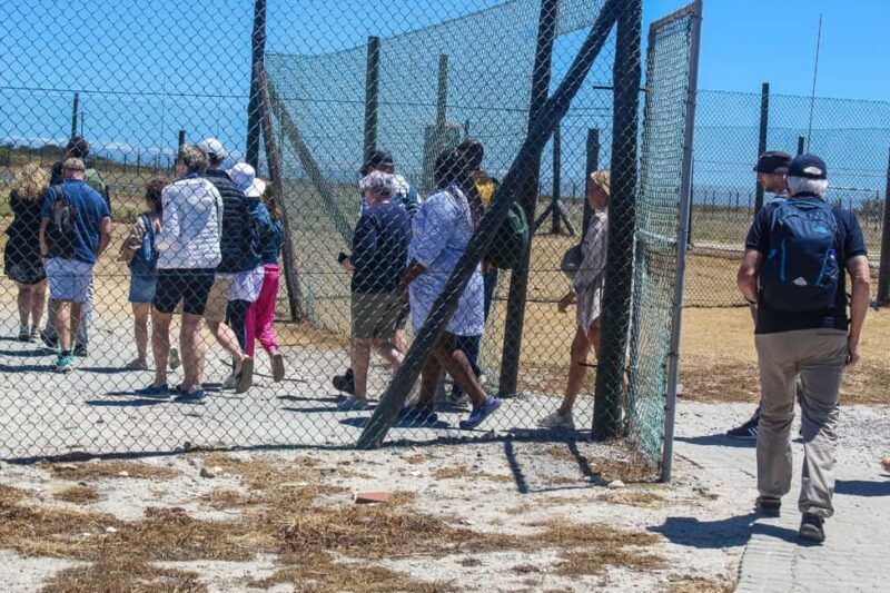 Cape Town: Robben Island Guided Tour ticket & guided tour - Key Points