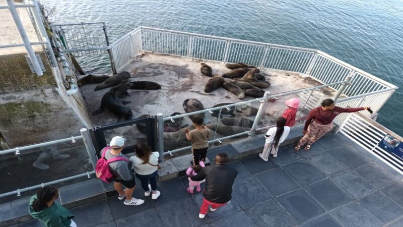 Cape Town Robben Island Plus Table Mountain plus All Tickets - Exploring Robben Island: A Deep Dive into Political History