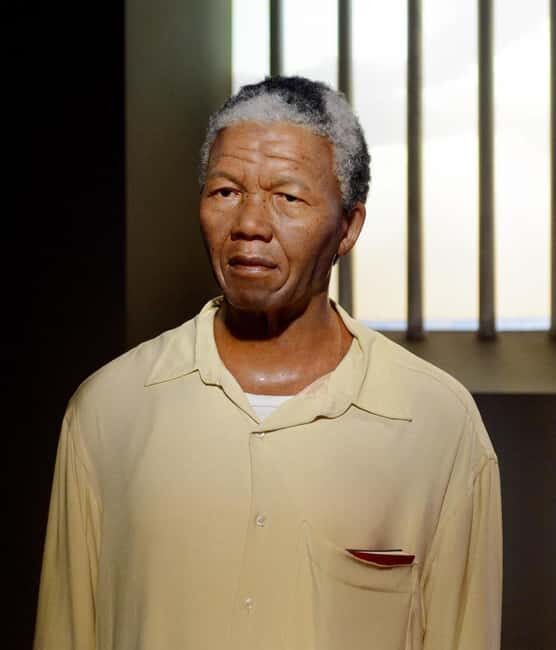 Cape Town: Robben Island Tour Tickets and V&A Waterfront - FAQ