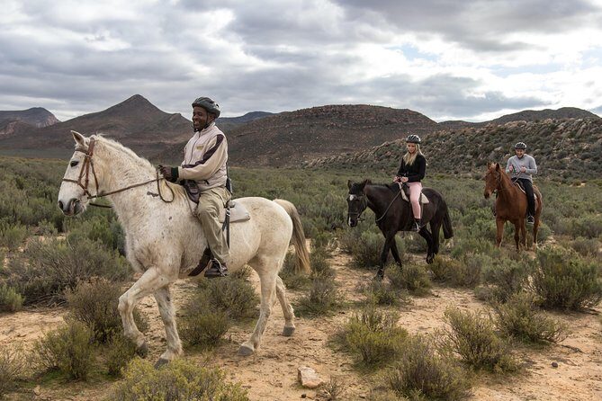 Cape Town Safari Big 5 experience all inclusive - Why This Tour Stands Out