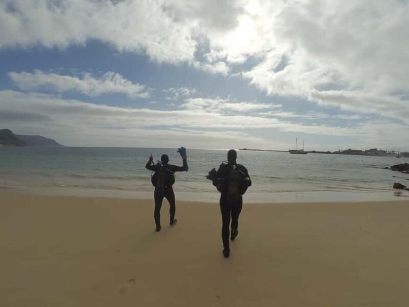 Cape Town: Scuba Diving Experience for Beginners - Key Points