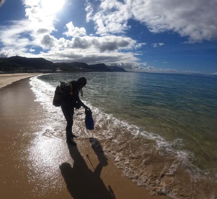 Cape Town: Scuba Diving Experience for Beginners - An In-Depth Look at the Cape Town Beginner Scuba Experience