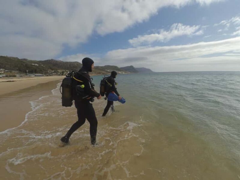 Cape Town: Scuba Diving Experience for Beginners - The Sum Up: Is It Worth It?