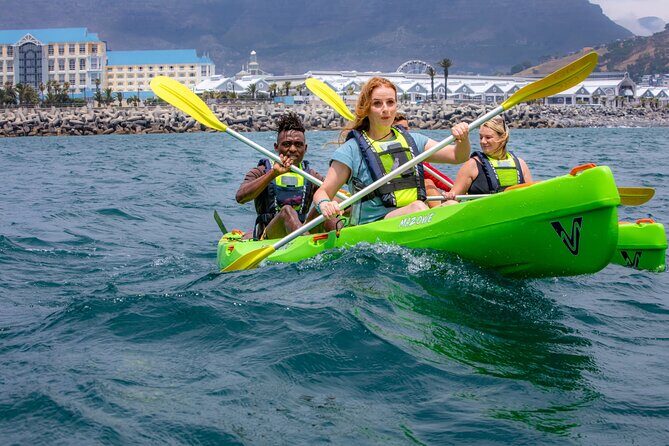 Cape Town Sea Kayaking Adventure launching from V&A Waterfront - The Experience: What’s in Store?