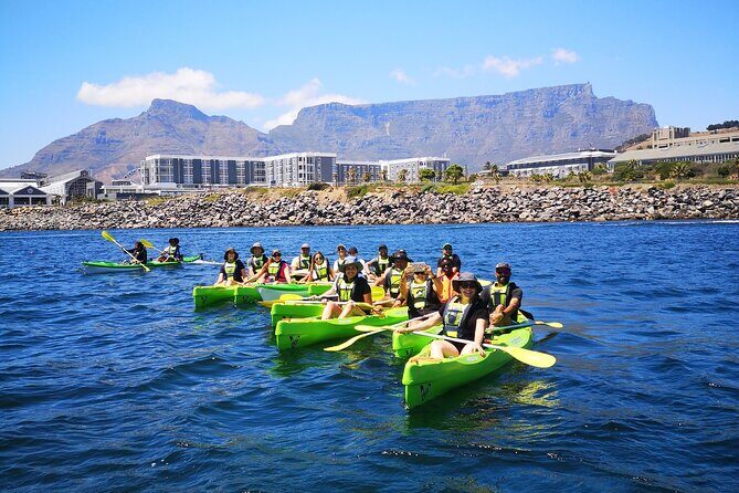 Cape Town Sea Kayaking Adventure launching from V&A Waterfront - What Reviewers Are Saying