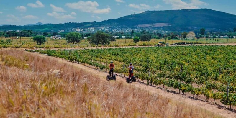 CAPE TOWN: SEGWAY FUN RIDE IN PAARL FREEDOM 301 WITH WILDX - What to Expect During the Tour