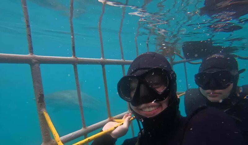 Cape Town: Shark Cage Diving Tour (with Breakfast & Lunch) - The Sum Up: Who Is It Best For?