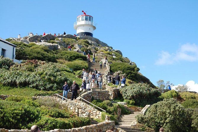 Cape Town Shore Excursion: Private Small Group Cape Peninsula - A Closer Look at the Cape Peninsula Shore Excursion
