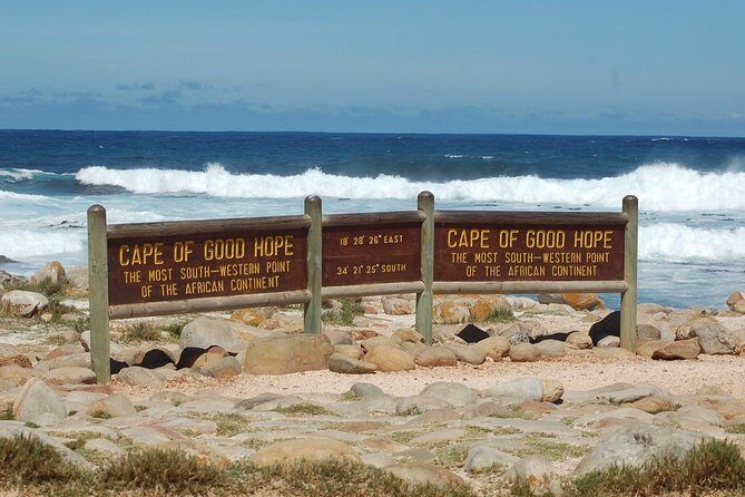 Cape Town Shore Excursion: Private Small Group Cape Peninsula - Authentic Experiences Highlighted by Feedback