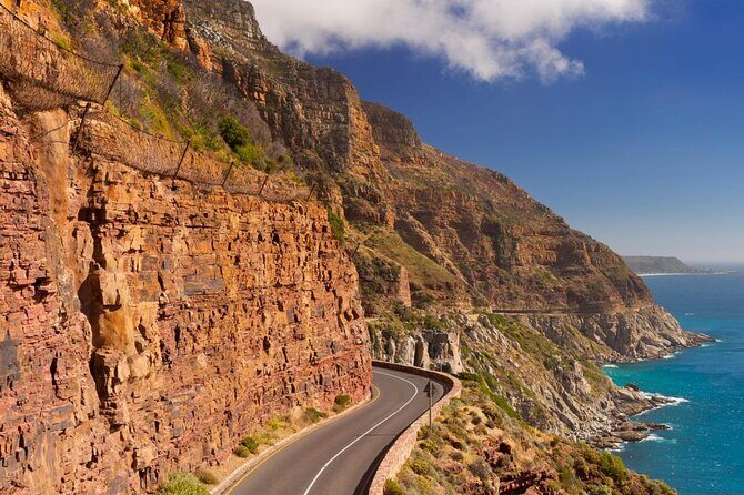 Cape Town Shore Excursion: Private Small Group Cape Peninsula - Who Will Love This Tour?