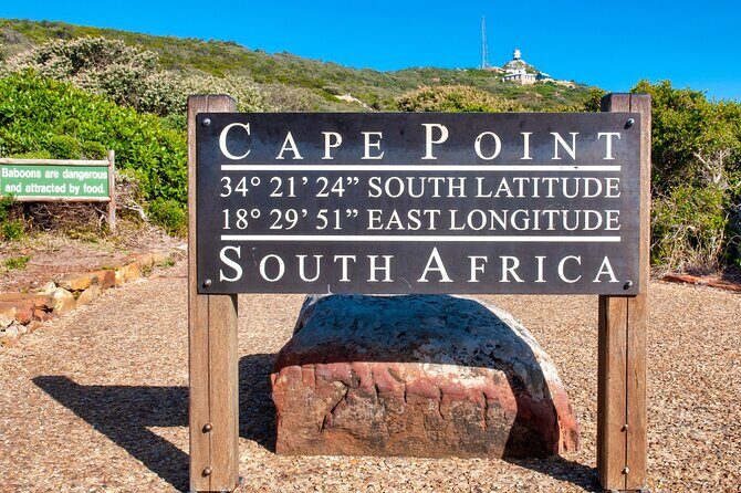Cape Town Shore Tour: Table Mountain, Penguin & Cape Point - Summary: Is This Tour Right for You?