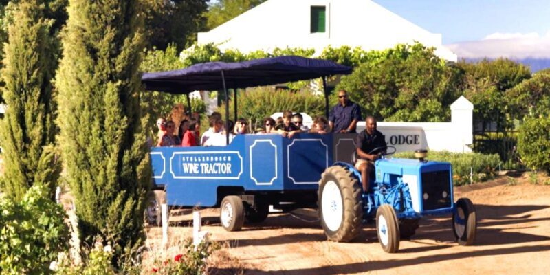 Cape Town: Stellenbosch Hop-On Hop-Off Tractor Wine Tour - Key Points