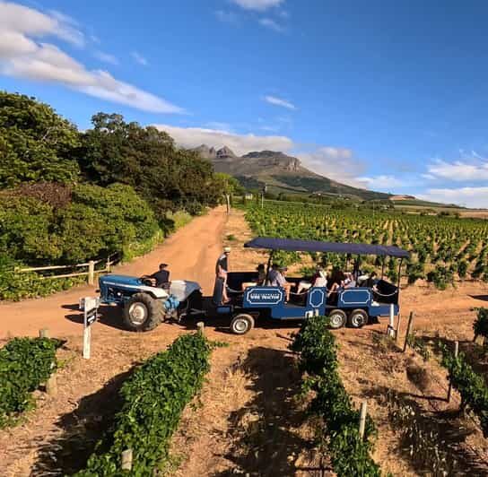 Cape Town: Stellenbosch Hop-On Hop-Off Tractor Wine Tour - What Makes This Tour Stand Out?