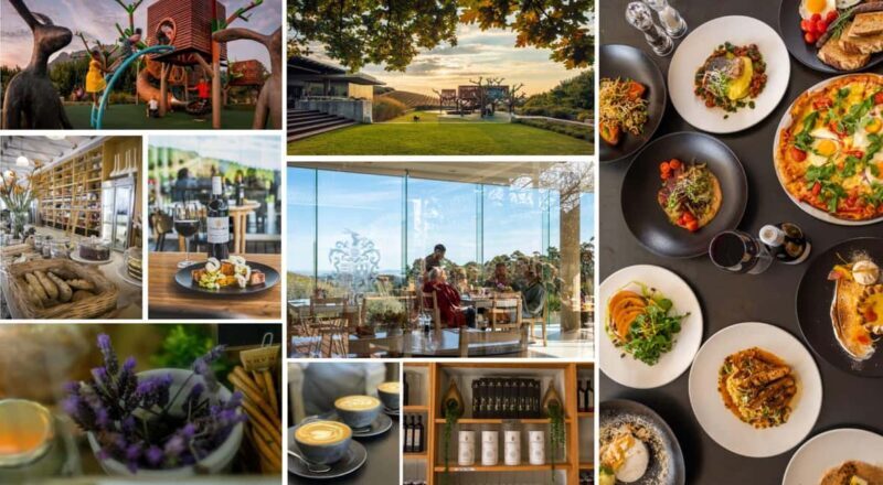 Cape Town: Stellenbosch Winelands Tour with a Queer Lens - Practical details: what you need to know