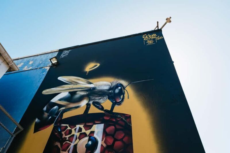 Cape Town: Street Art Walking Tour in Woodstock - FAQ
