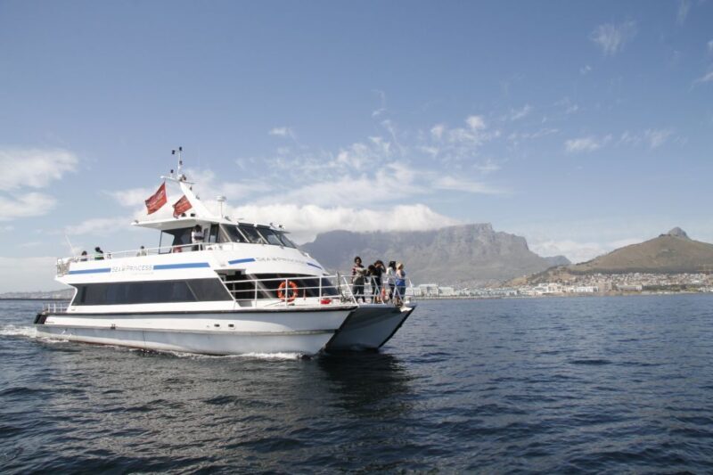 Cape Town: Sunset Champagne Cruise and 3-Course Dinner - The Sum Up