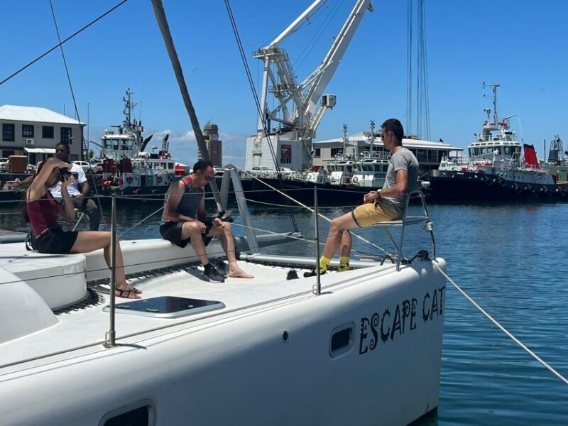 Cape Town: Table Bay Cruise by Catamaran - Key Points