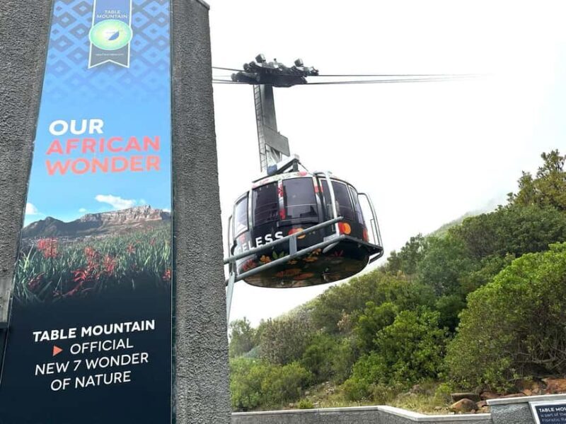 Cape town: Table Mountain Boulder's Beach and Cape Point - Key Points