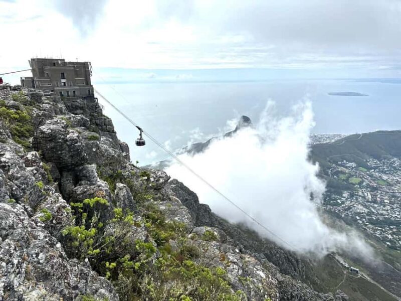 Cape town: Table Mountain Boulder's Beach and Cape Point - FAQs