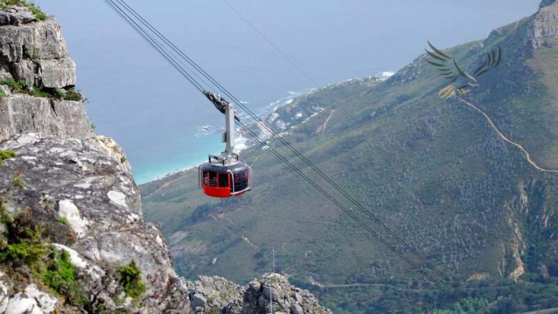 Cape Town: Table Mountain & Cape of Good Hope Full-Day Tour - What to Expect on This Full-Day Cape Town Adventure
