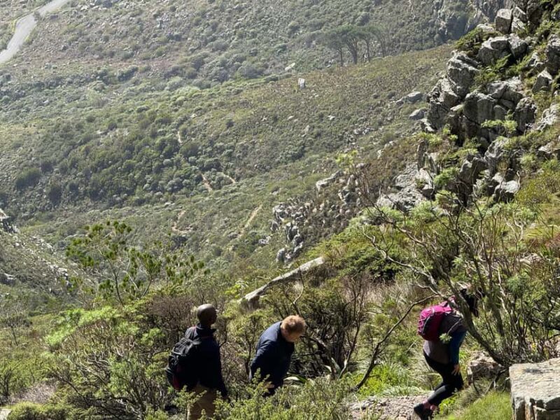 Cape Town: Table Mountain Group Hike via Platteklip Gorge - Cape Town: Table Mountain Group Hike via Platteklip Gorge — A Detailed Review