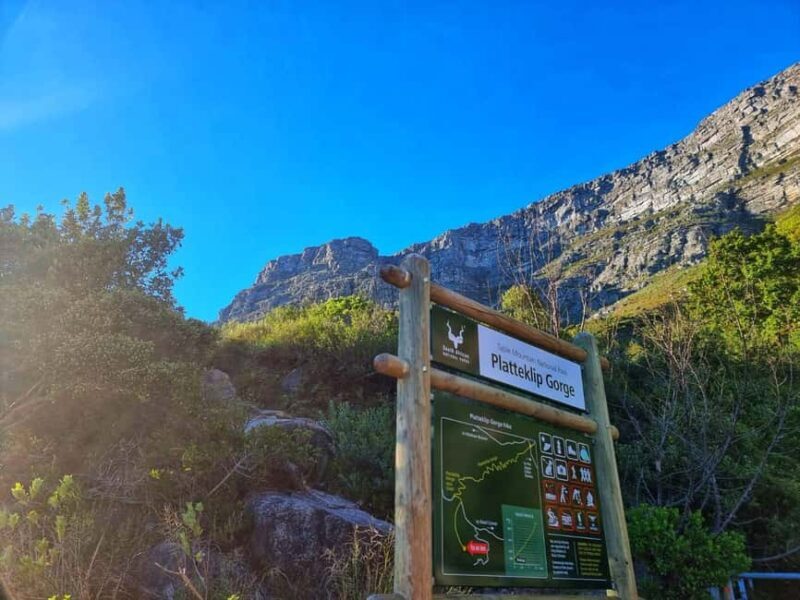 Cape Town: Table Mountain Group Hike via Platteklip Gorge - Why This Hike Stands Out