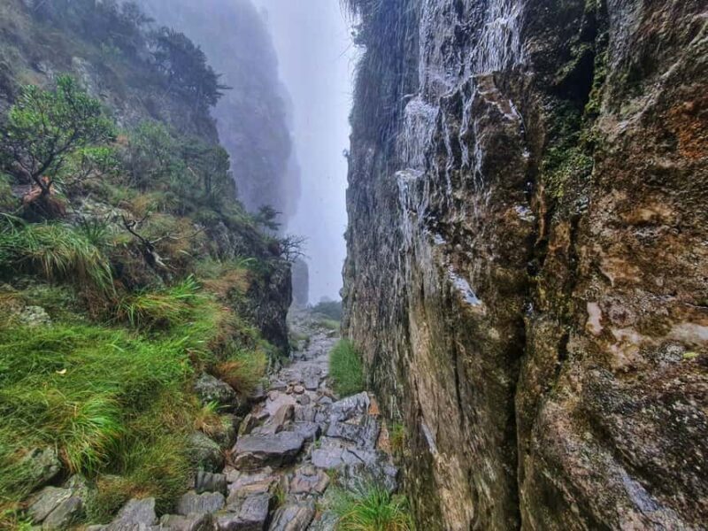 Cape Town: Table Mountain Group Hike via Platteklip Gorge - Authentic Experiences and Traveler Feedback