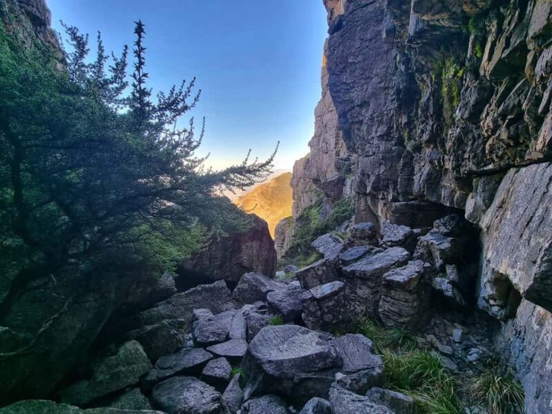 Cape Town: Table Mountain Group Hike via Platteklip Gorge - Who Should Consider This Tour?