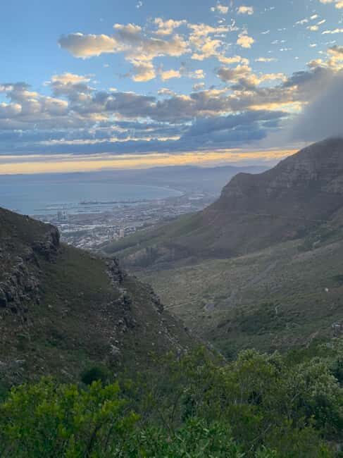 Cape Town: Table Mountain Guided Hike Up/Cable Car Down - Who Should Book This Tour?