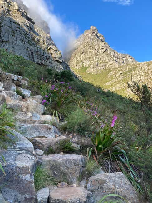 Cape Town: Table Mountain Guided Hike Up/Cable Car Down - The Sum Up