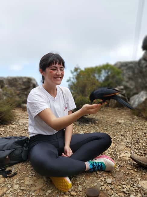 Cape Town: Table Mountain Hike with an Expert Guide - A Complete Guide to the Cape Town Table Mountain Hike