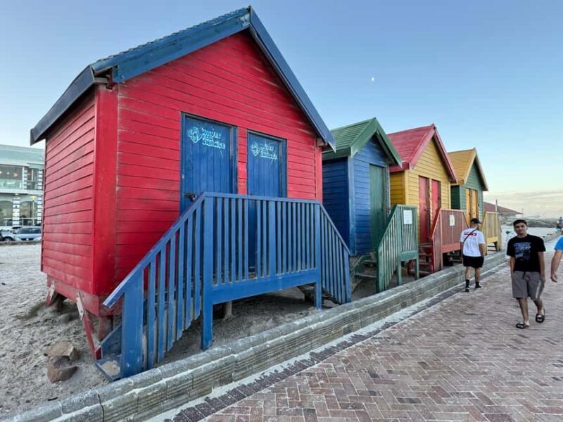 Cape Town: Table Mountain, Penguins, Cape of Good Hope - The Itinerary in Detail