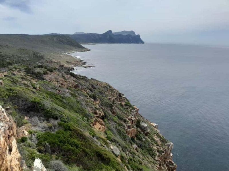 Cape Town: Table Mountain, Penguins & Cape of Good Hope Tour - A Practical Look at the Tour
