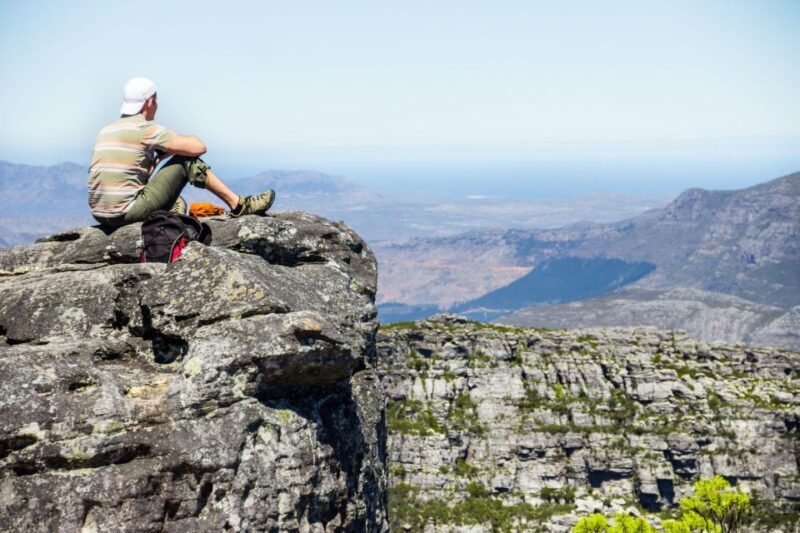 Cape Town: Table Mountain, Penguins & Cape Point Shared Tour - Key Points