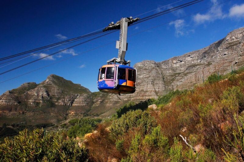 Cape Town: Table Mountain, Penguins & Cape Point Shared Tour - An In-Depth Look at Your Day in Cape Town