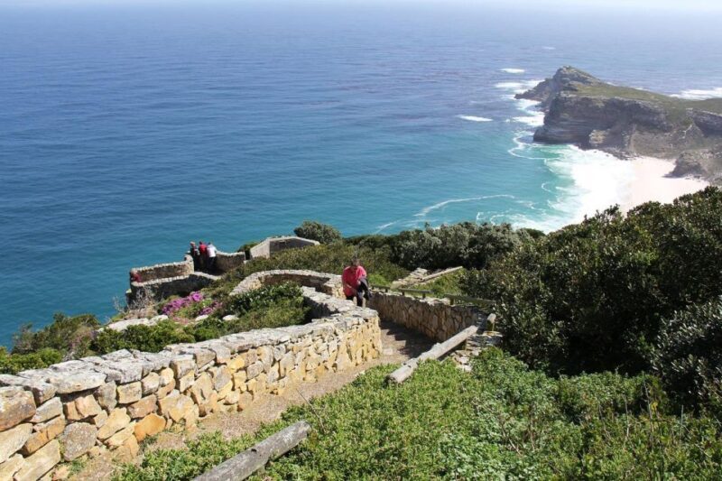 Cape Town: Table Mountain, Penguins & Cape Point Shared Tour - The Sum Up