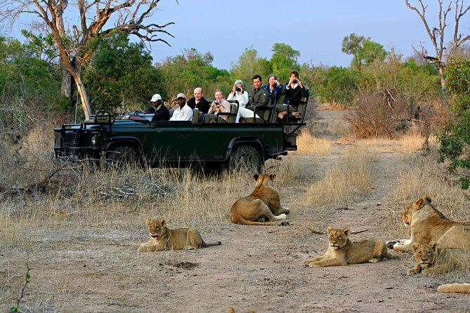 Cape Town - The Best of Aquila Safari Tour - An In-Depth Look at the Tour Experience