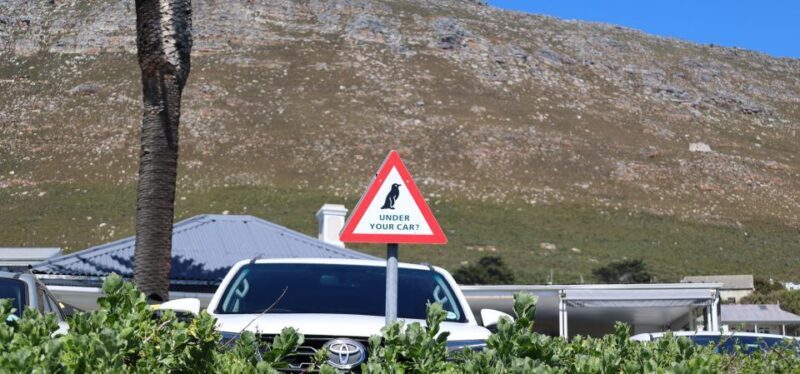 Cape Town: Tour Cape Point & Boulders Beach Penguin Day Trip - Who Would Enjoy This Tour?
