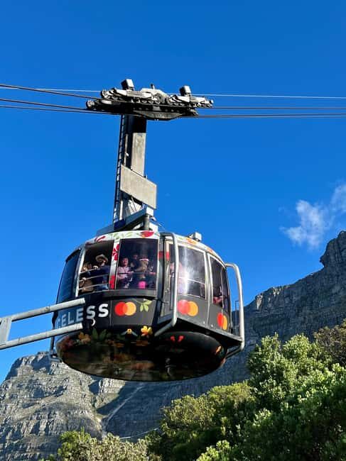Cape Town Tour: Table Mountain, Penguins & Cape Point+Pickup - Who Will Love This Tour?