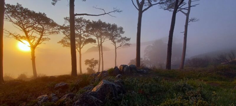 Cape Town: Trail Run Lion's Head and Signal Hill Morning - Key Points