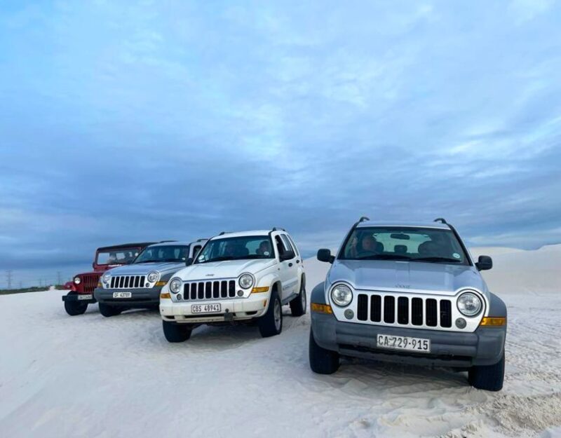 CAPE TOWN: ULTIMATE SANDBOARDING ATLANTIS DUNES WITH WILDX - Key Points