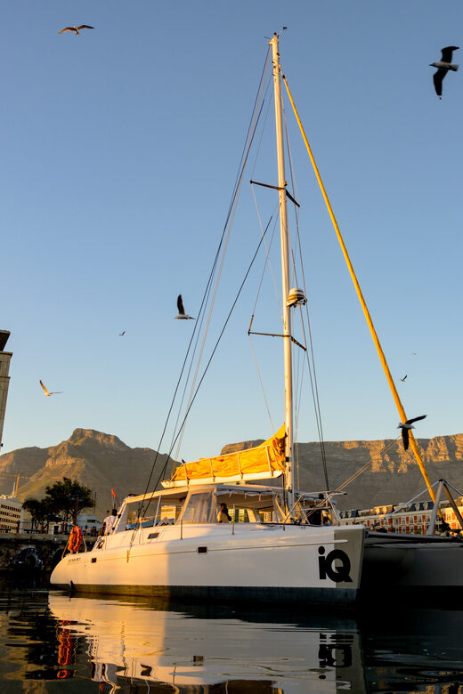 Cape Town: V&A Waterfront 1-Hour Scenic Cruise - An Intimate Look at the Cruise Experience