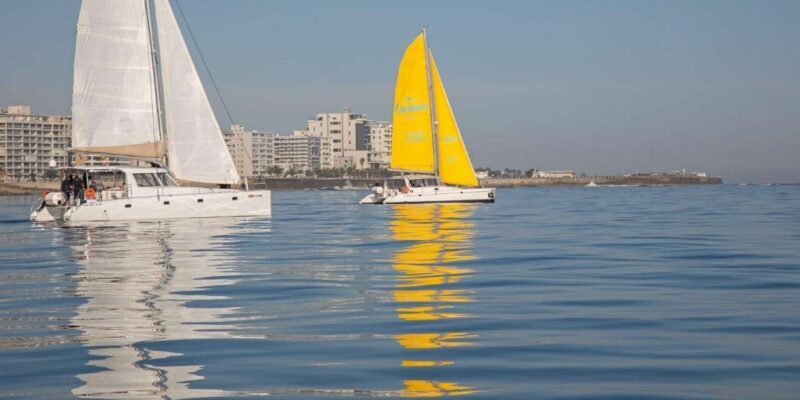 Cape Town: V&A Waterfront 1-Hour Scenic Cruise - Wildlife Spotting: A Surprise Element