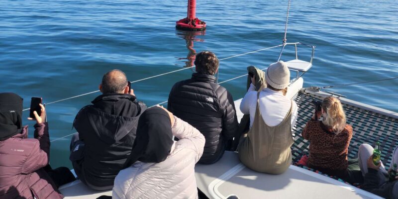 Cape Town: V&A Waterfront 1-Hour Scenic Cruise - Who Should Consider This Tour?