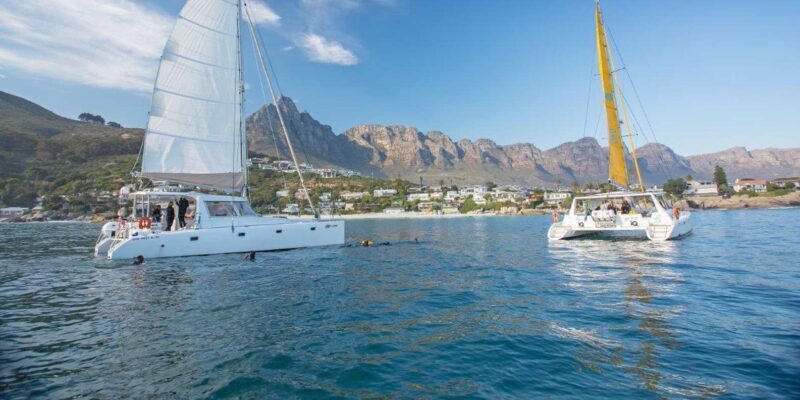 Cape Town: V&A Waterfront 1-Hour Scenic Cruise - The Sum Up