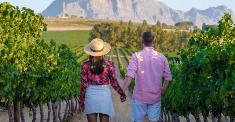 Cape Town Wine Tour (Paarl, Stellenbosch & Franschhoek) - Final Thoughts: Is It Worth It?